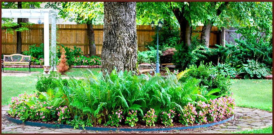 Hayes House Bed And Breakfast มัสโคกี ภายนอก รูปภาพ